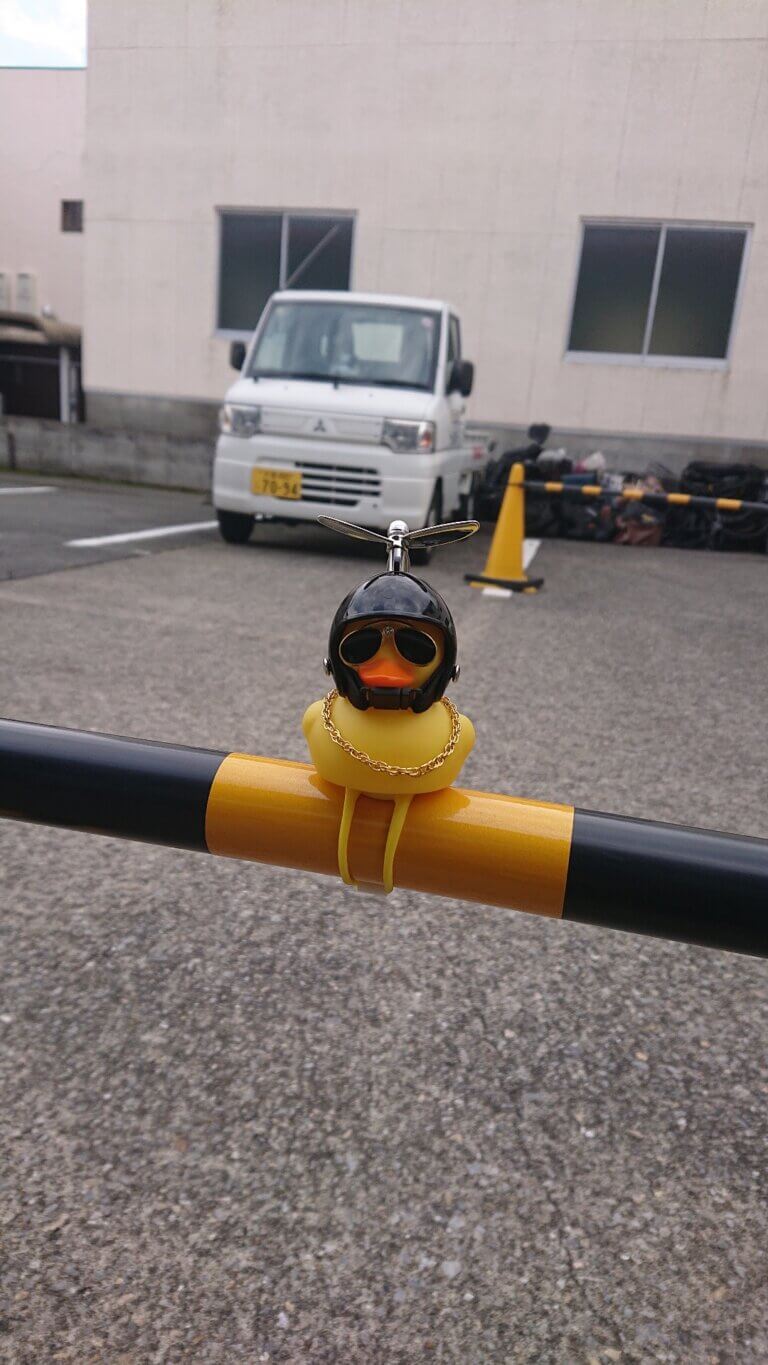 ダックホーン入荷！